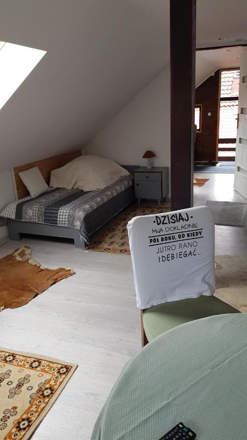 Turystyczny Apartament Na Poddaszu Skoczów 외부 사진