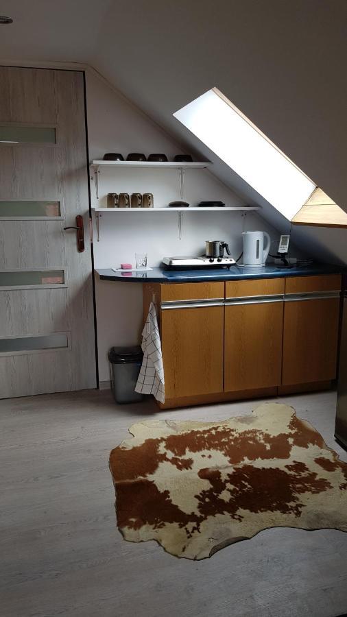 Turystyczny Apartament Na Poddaszu Skoczów 외부 사진